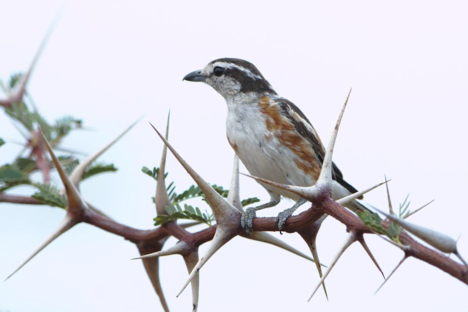 Afera o "OZE sr-OZE". Przemysław Czarnek zapowiada demontaż fotowoltaiki ze swojego domu -