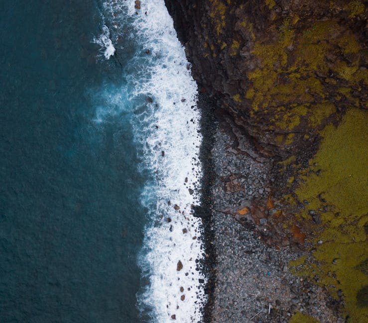 Hanna Paluszkiewicz Honorowym Obywatelem Miasta Międzyrzec Podlaski