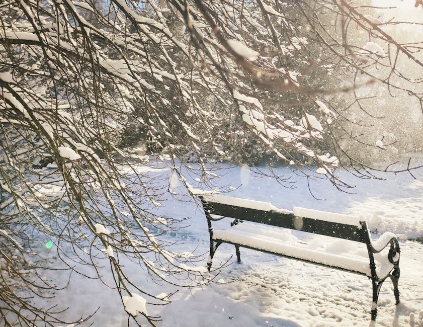 Wolę moje OZE-SROZE od pisowskiego troglodyty. - x.com
