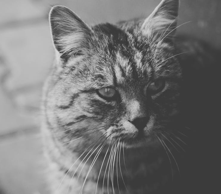 Konsola, która zaczęła domową rewolucję. Czym zachwycało Atari 2600? -