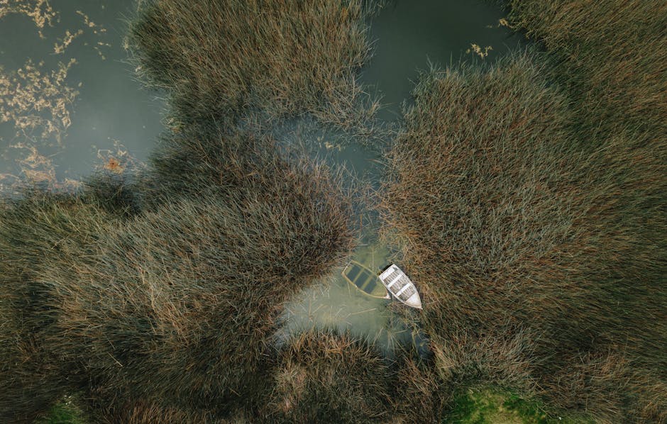 Czy warto montować lokalizator GPS w samochodzie 🚗📡