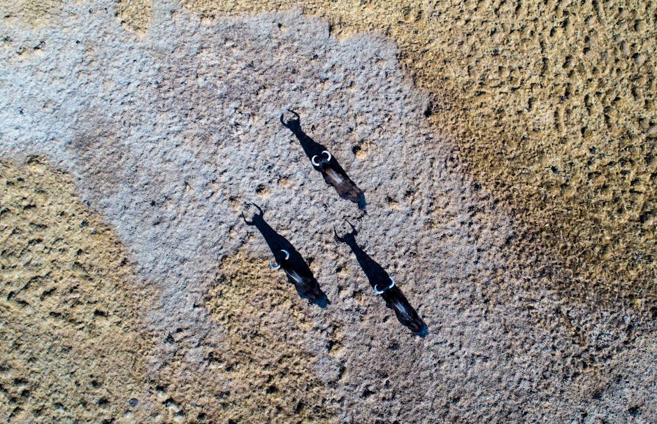 Objawy uszkodzonych świec żarowych