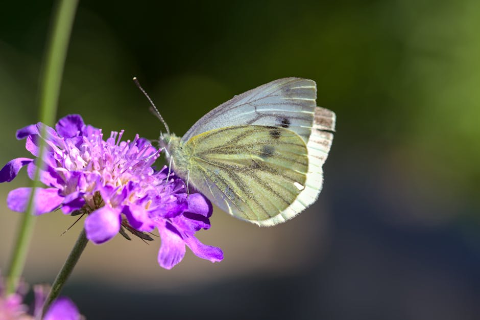 IEA: napięcia na Bliskim Wschodzie mogą zachwiać globalnym rynkiem energii