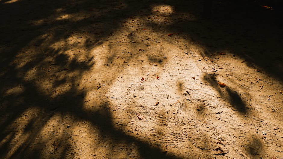 Konsola Też Z Nami Jedzie, Czyli PlayStation Wsiada Do Afeeli