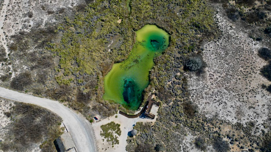 Jak przechowywać opony poza sezonem – praktyczny poradnik