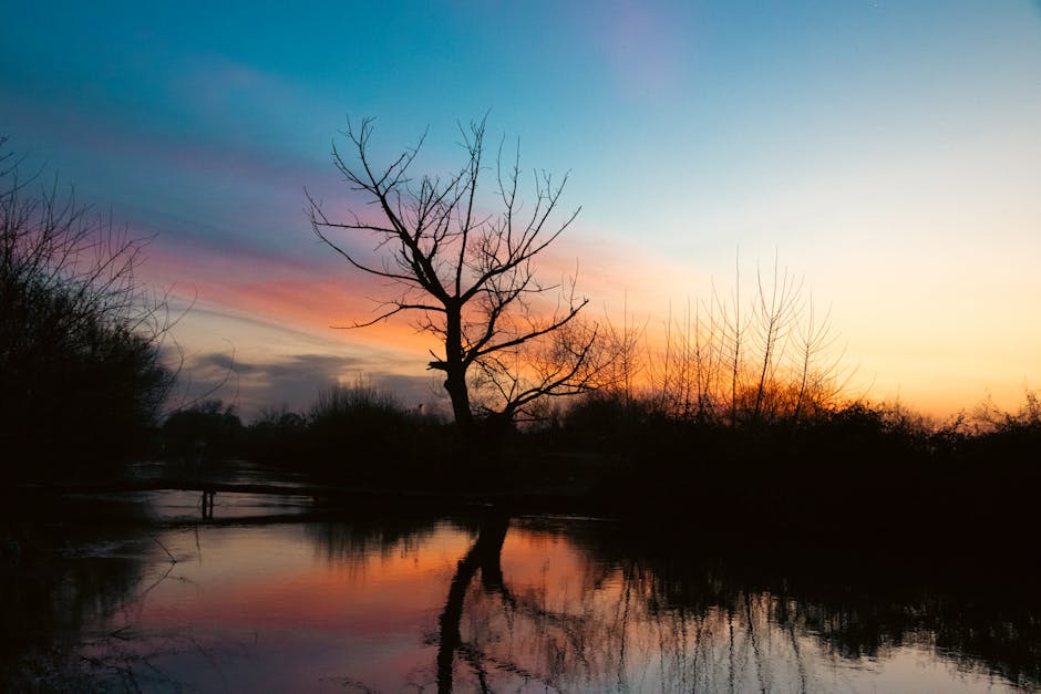 Nowoczesna technologia na sali operacyjnej – kolejne urządzenia z KPO w szpitalu wojewódzkim - Q4.pl