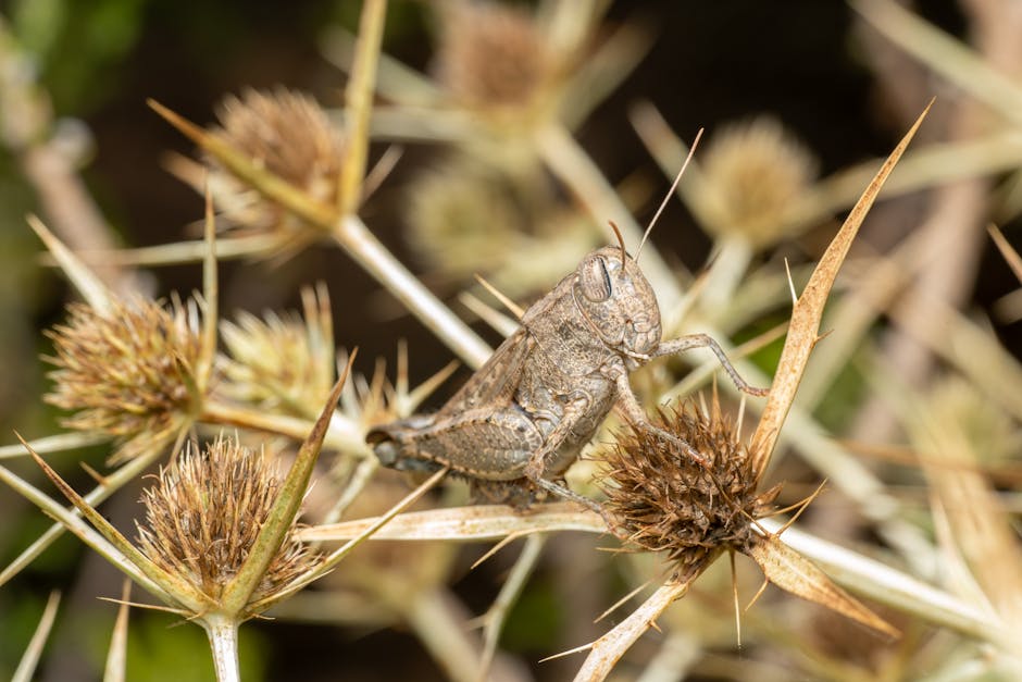 Nadchodzi plaga wyłączeń fotowoltaiki i wiatraków. Zapowiada się kolejny niechlubny rekord