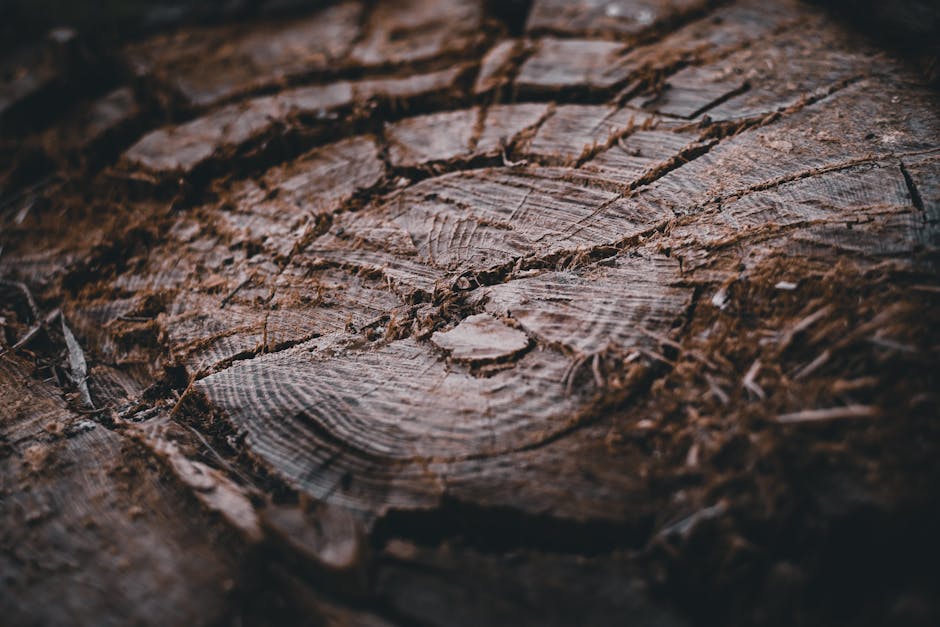 „” udostępnia artykuły w wersji audio. Nowa funkcja w serwisie rp.pl