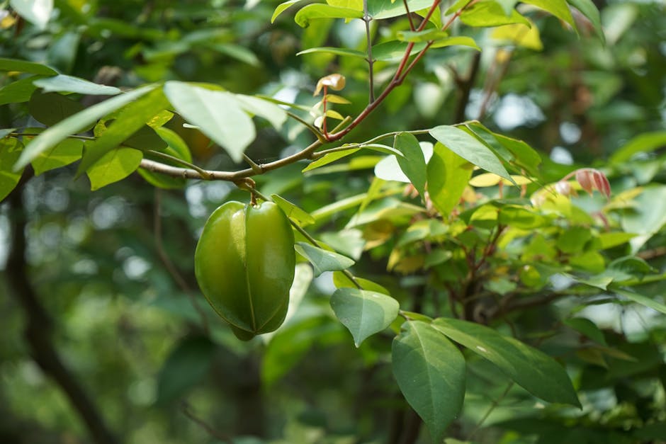 Karambol na drodze S7 pod Szydłowcem. Uszkodzony wóz straży pożarnej