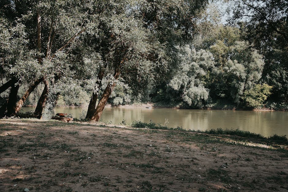 iPhone 16 w bardzo dobrej cenie. Ten model opłaca się teraz najbardziej