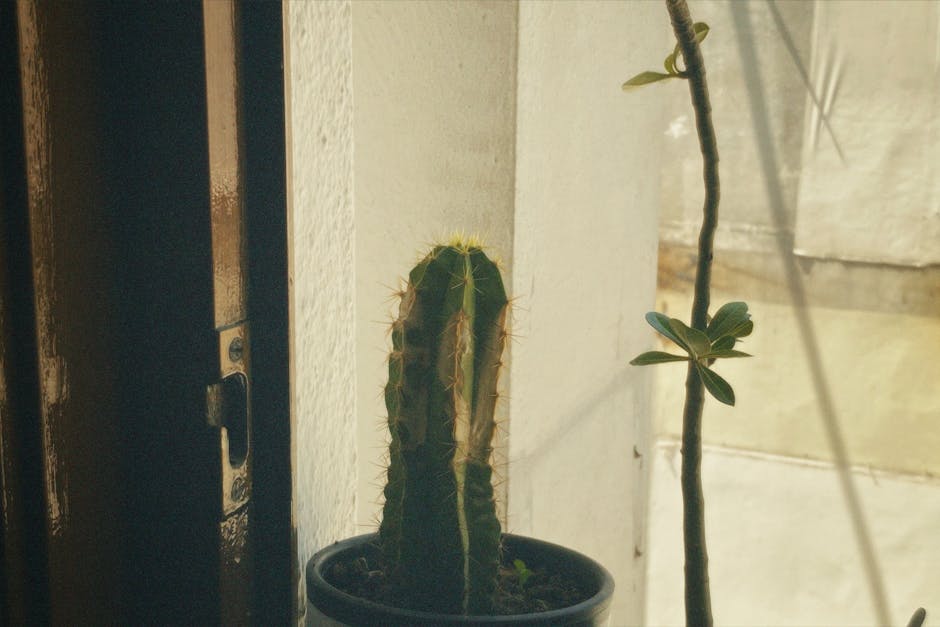 Telefónica: Impacto del uso de Cloud y BI potenciado con AI