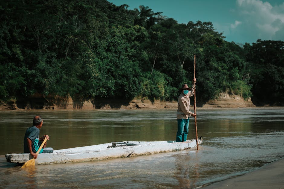 Dorada z piekarnika to wspaniała propozycja na pyszny obiad dla całej rodziny. Aromatyczna ryba pieczona w...