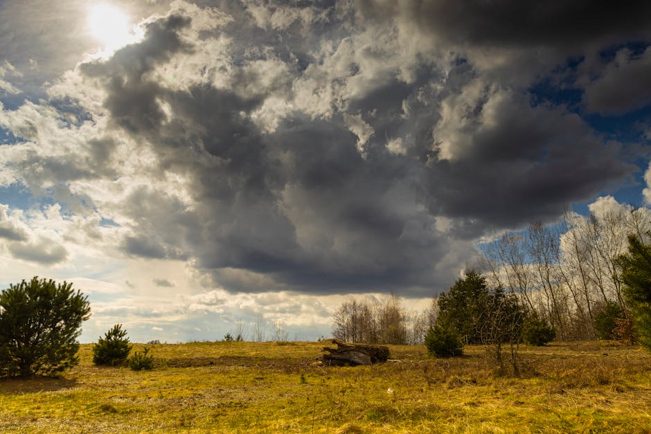 Zmiany w chmurze Google. Więcej pamięci w tej samej cenie