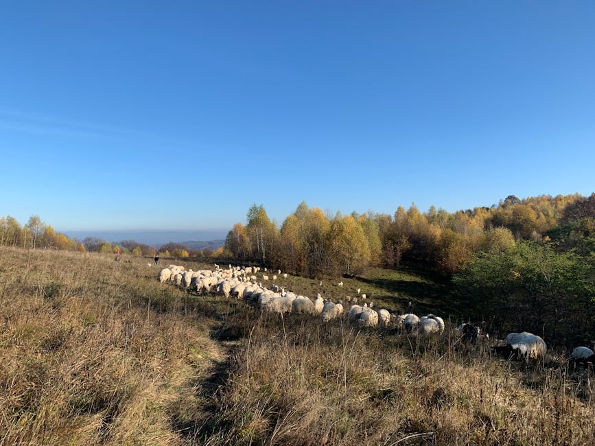 Rosjanie zbudują wieżowce z drewna. Niewielu chce tam mieszkać