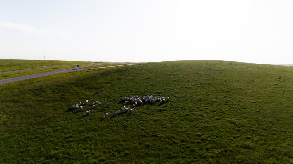National 2 : "J’ai une équipe d’agneaux" regrette l’entraîneur de Poitiers après la défaite contre Saint-Malo