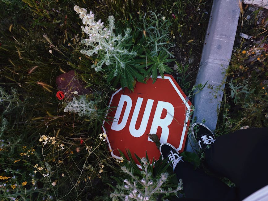 TBT9 : "J'ai failli mourir", l'histoire totalement folle d'une chroniqueuse de Cyril Hanouna