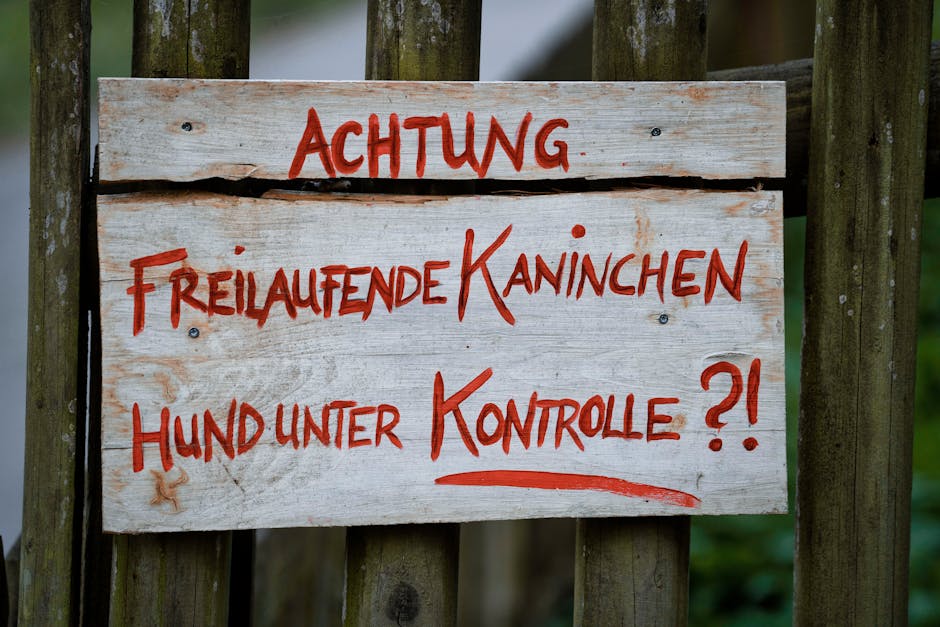 Rząd chce mieć kontrolę nad wdrażaniem sztucznej inteligencji w małych firmach. Nowa ustawa idzie do Sejmu: dla kogo i jakie sankcje karne, komu nowe prawo pomoże