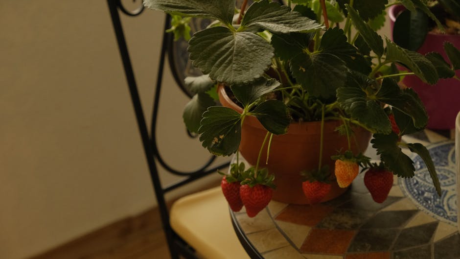 Druzgocący cios dla Barcelony. "To wstyd"