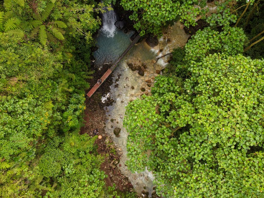 Valverde : "Ce n’est pas une image à montrer aux enfants, mais j’ai fait ce que j’avais à faire"