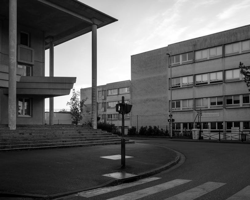 "J'ai eu la chance d'aller à l'école publique" : Pierre Niney encense le système scolaire et s'explique