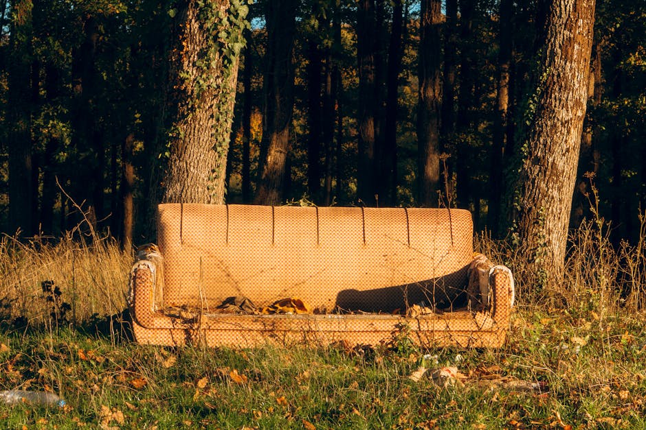 "J'ai accouché dix jours après" : après le traumatisme de l'abattage, la difficile reconstruction pour cette éleveuse touchée par la dermatose nodulaire