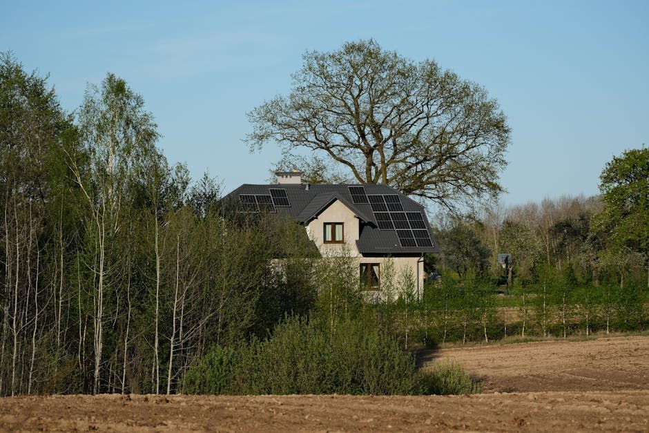 Nowe Prawo energetyczne: szybsze przyłączenia, wsparcie OZE i większa ochrona odbiorców