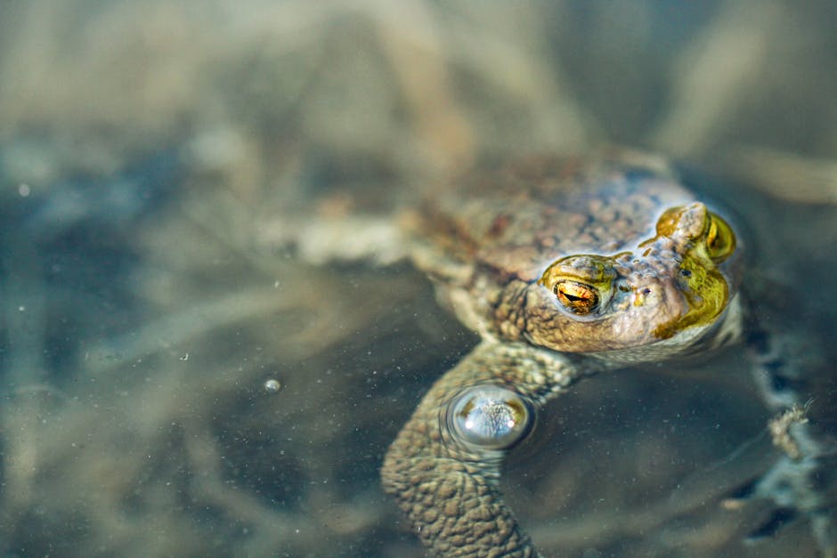 «J’espère que ma mère s’apercevra de ce que j’ai vécu au collège» : les confidences d’Olivier Delacroix sur Figaro Live
