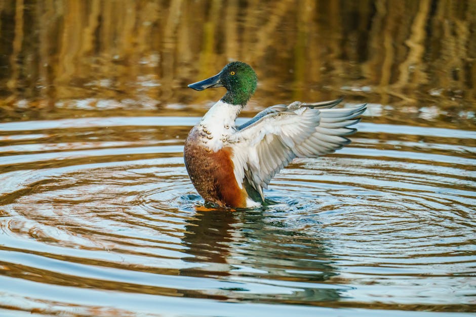 Cena Flap Futures: wykres ceny, kapitalizacja rynkowa i dzisiejsze wiadomości o FFX/USD