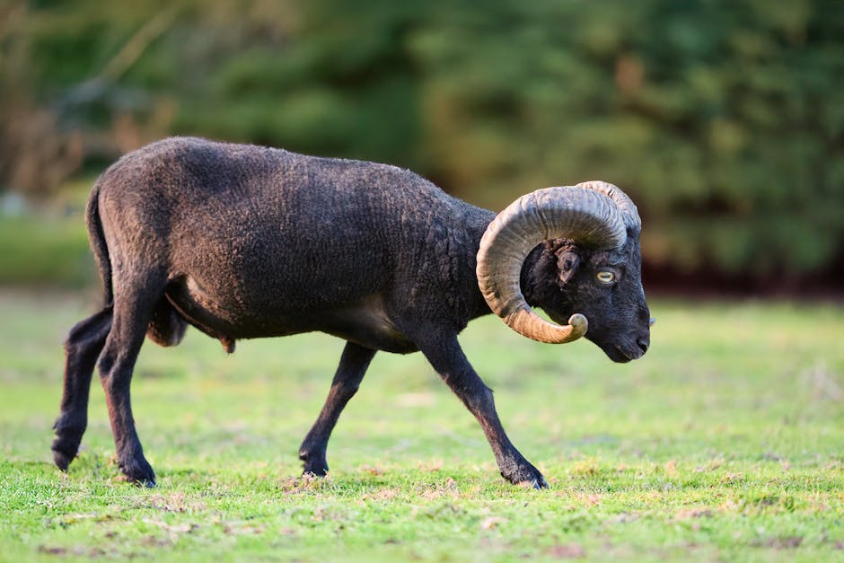 « J’ai l’impression d’être le bouc émissaire de la CGT » : René Lioret réagit à la mobilisation devant sa permanence de Beaune ce vendredi