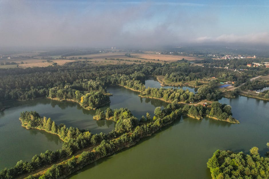 AI wskazało najlepsze miejsca do życia na Podkarpaciu. Te miasta są na czele
