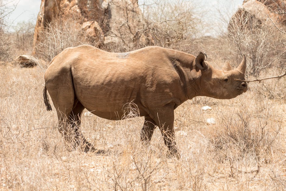 « J’ai envie de montrer qu’on sera là pour tout le monde » : Aurélien Garo, le nouveau visage des RH à Châteaulin