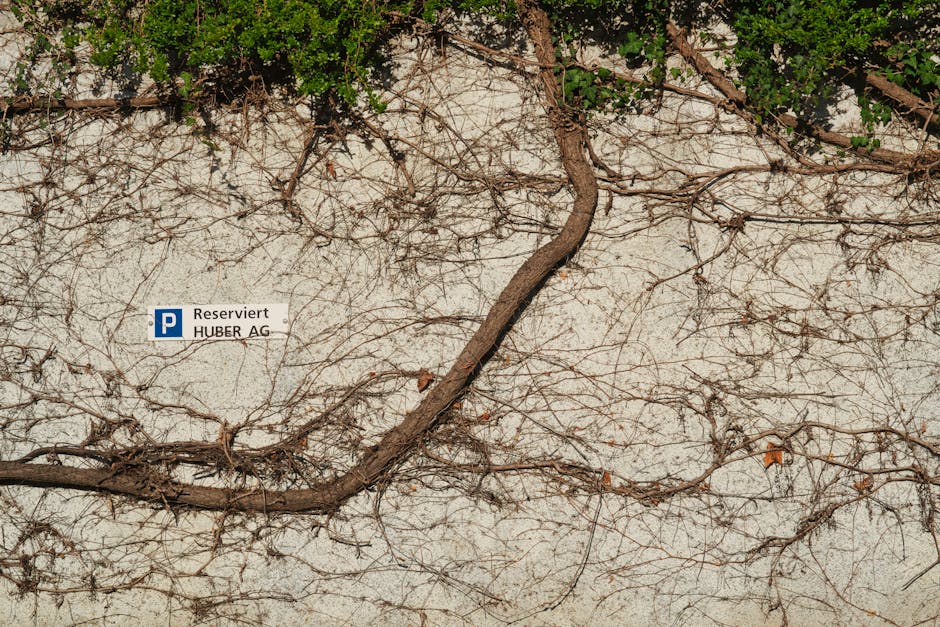 Broot.ai setzt auf Vonage zur Optimierung seiner CRM-Plattform und Neudefinition des Sales- und Marketing-Engagements