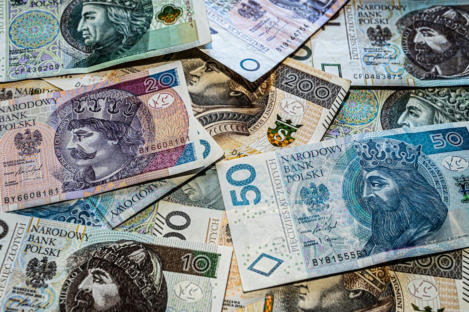 TVP reaguje na odpadnięcie Polski, decyzja zapadła. Tego jeszcze nie było