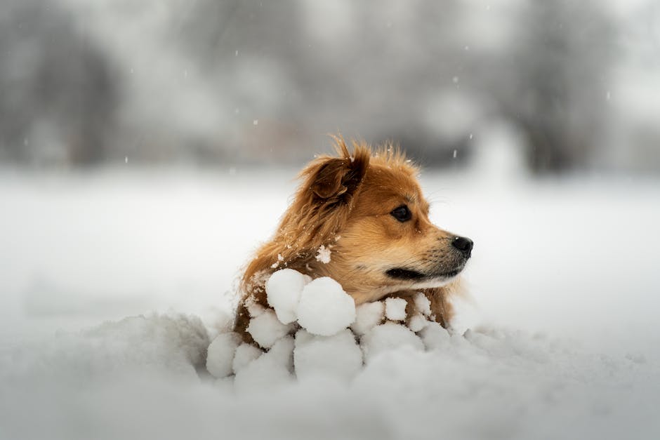 „Identyfikująca się jako pies”, pogryziona przez psa – viralowe nagranie to AI