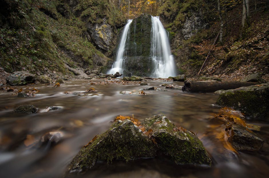 Duchowy spadkobierca StarCrafta 2 straci funkcje sieciowe. Serwery Stormgate’a prawdopodobnie zostaną użyte do celów związanych z AI