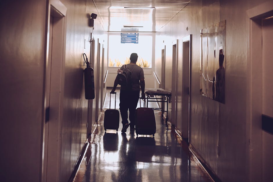 « J’ai travaillé très très dur pour en arriver là » : Sofiane Abdeljabbar, champion de France de boxe