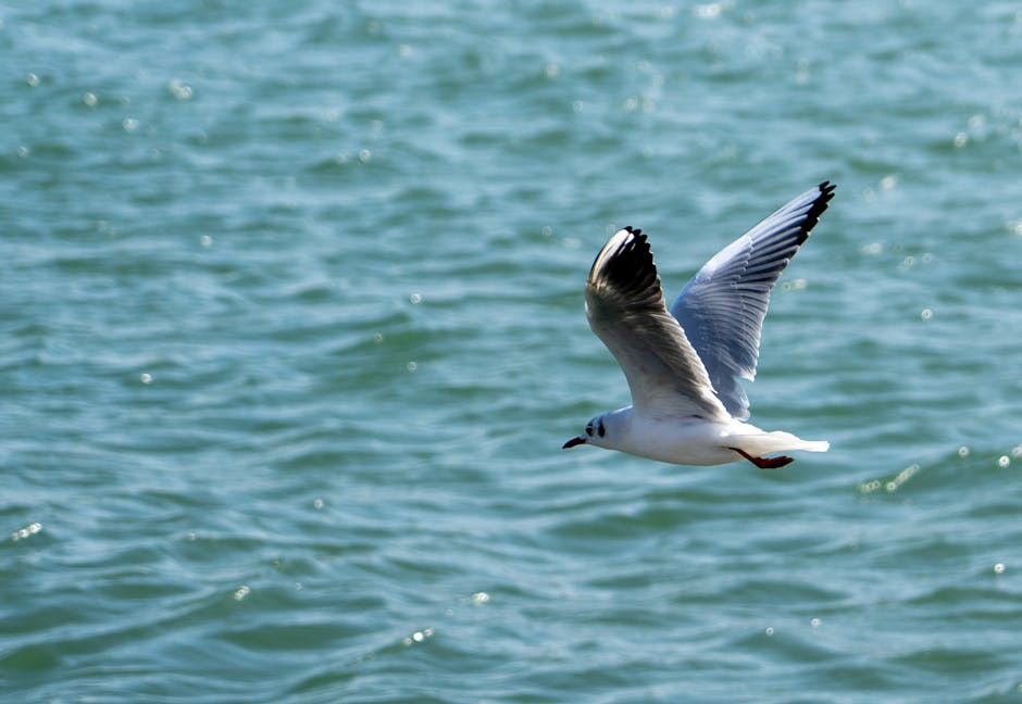 "Je lui ai dit de se taire" : cette personnalité a été recadrée par Laurent Ruquier aux obsèques d'Isabelle Mergault