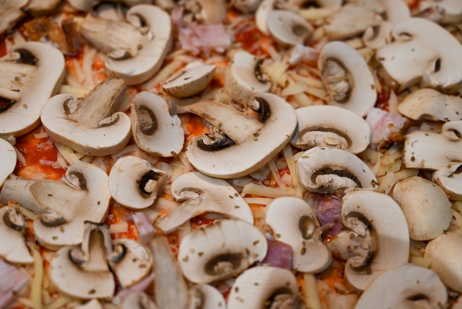 « J’ai pris des doses de champignons à la place d’antidépresseurs » : Selah Sue sort « Movin’» son 4e album