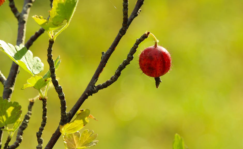 Przeciek ujawnia, że nadchodzi więcej modeli Motorola Edge 70