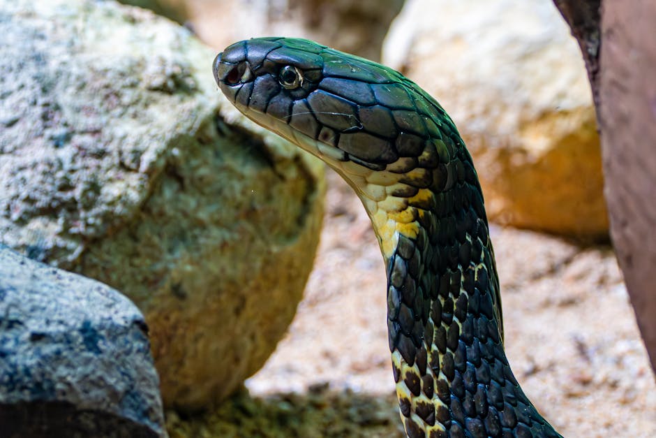 Gwiazda HBO nie gryzła się w język. Hannah Einbinder ostro krytykuje AI
