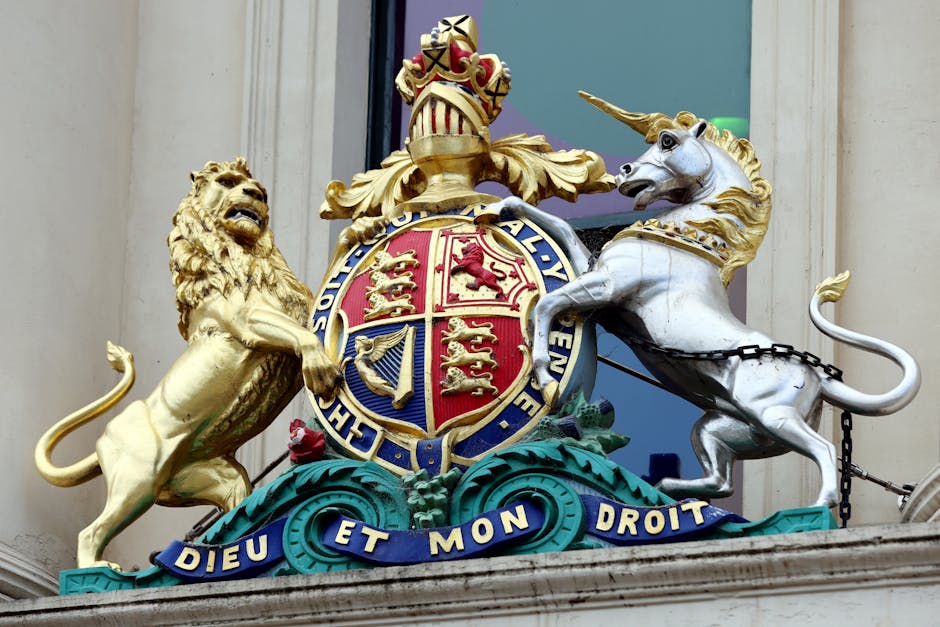 Jovic : "Je pense uniquement à gagner, j'ai appris à jouer dans l'inconfort"