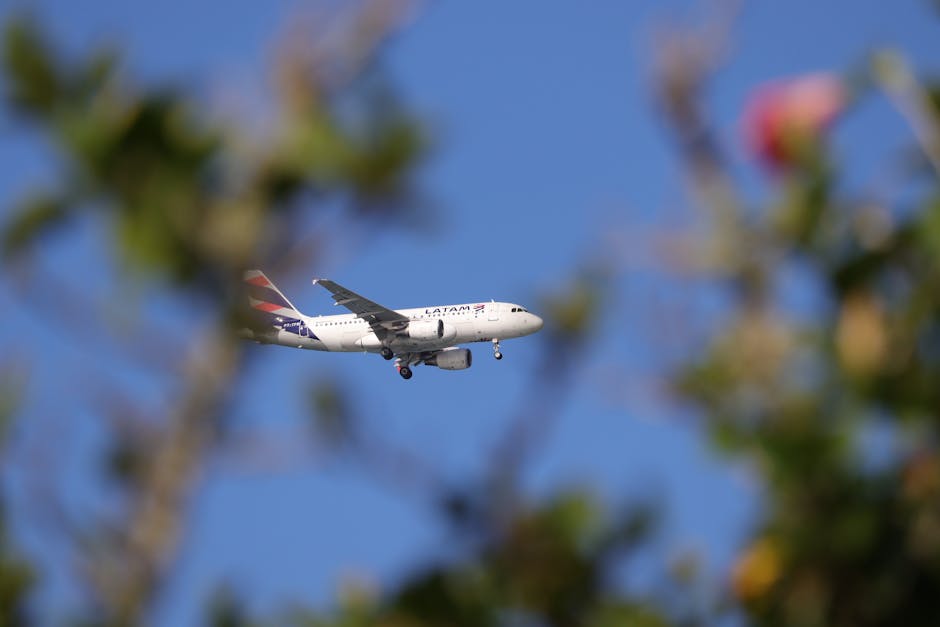 Empresas AI First LATAM: Escala tu startup con inteligencia artificial