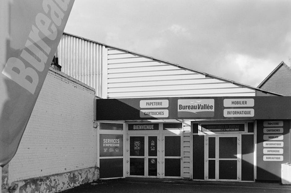 Quelles sont les nouveautés inattendues de l'abonnement Google AI Pro ?